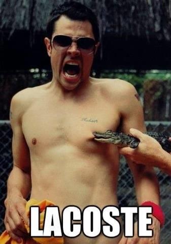 Net stuff - 995998437990592985820894396750n.jpg